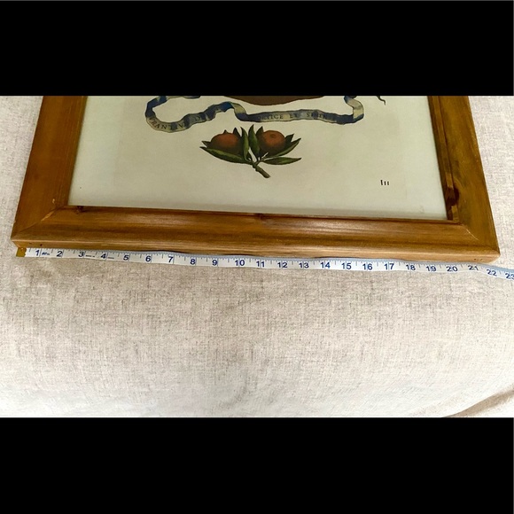 Vintage Inspired Framed Fruit Print - Picture 3 of 3